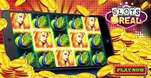 bbbet